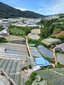 an aerial view of a factory with plants at Nature Stay Cameron Highlands in Cameron Highlands