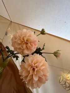 bukiet różowych kwiatów wisi na ścianie w obiekcie Sambla majutus w mieście Hiiumaa
