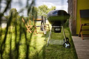 una parrilla sentada en el césped en un patio en Apartmány Filipovice en Bělá pod Pradědem