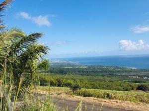 a view of the ocean from a hill with a palm tree at Location Villa pleine Nature Domaine des Radiers in Sainte-Rose