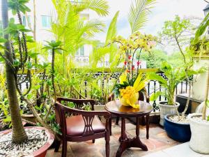 a patio with a table and chairs and plants at Hải Nam Hotel (Sài Gòn) in Ho Chi Minh City