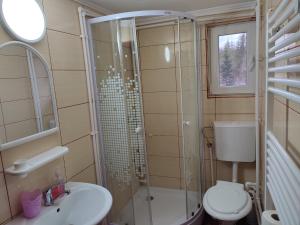 a bathroom with a shower and a toilet and a sink at Cabana Bianca in Arieşeni