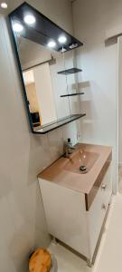 een badkamer met een wastafel en een spiegel bij Le Cosyhome Michelais I SPA extérieur & Netflix in Saint-Michel-le-Cloucq