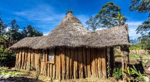 a small hut with a thatched roof at Omo Bugamo Skeleton Tribe Eco Resort in Genetisarobe