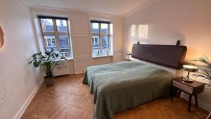 1 dormitorio con 1 cama y 2 ventanas en Carolinas Apartment - Studiestæde 3, en Copenhague