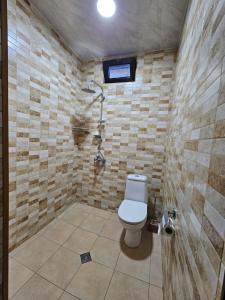 ein Bad mit einem WC und einer Dusche in der Unterkunft Noes House in Kobuleti