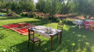 a table and chairs in a yard with a picnic table and a tableablish at Ferme de Saba in Tiflet