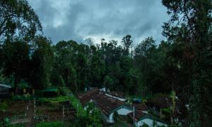 a group of houses in a forest with trees at Treebo Kodai Kings Park, 650 M From Kodai Lake in Kodaikānāl