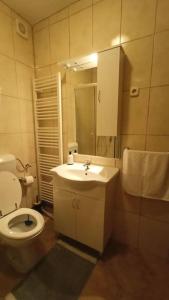 a bathroom with a white toilet and a sink at Apartmani Srdarović 3 in Drage
