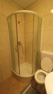 a bathroom with a shower with a toilet and a sink at Apartmani Srdarović 3 in Drage