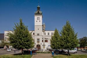 Fotografie z fotogalerie ubytování Apartmán U Pepana v Kyjově