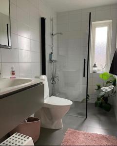 a bathroom with a toilet and a sink and a shower at New luxurious Villa in Helsingborg close to the City in Helsingborg +25 photos
