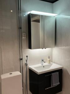 a bathroom with a sink and a shower and a toilet at Tikka Apartments in Jyväskylä