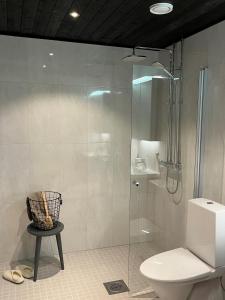 ユヴァスキュラにあるTikka Apartmentsのバスルーム(シャワー、トイレ、洗面台付)