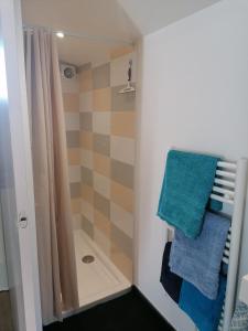 a bathroom with a shower and blue towels at Studio privé in Saint-Aignan-Grand-Lieu