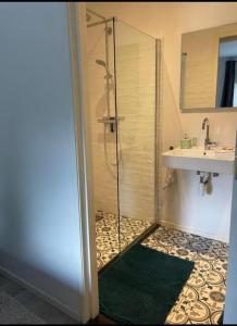 een badkamer met een douche en een wastafel bij Hoeve op de Meer in Maastricht