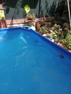The swimming pool at or close to L'Agrifoglio Dell'Etna