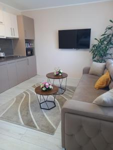 ein Wohnzimmer mit einem Sofa und 2 Tischen in der Unterkunft LEDA Apartmani in Smederevo