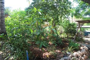 Afbeelding uit fotogalerij van Jambiani Café & Bungalow in Jambiani