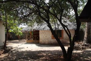 Afbeelding uit fotogalerij van Jambiani Café & Bungalow in Jambiani