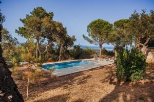 una piscina en un patio con árboles en Villa Ventisca, en Platja d'Aro