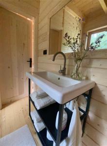 a bathroom with a sink and a mirror at Babiogórskie klimaty in Zawoja