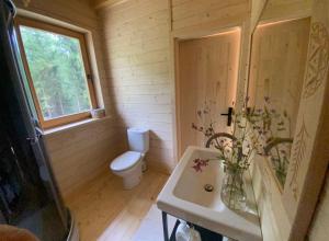 a small bathroom with a toilet and a sink at Babiogórskie klimaty in Zawoja