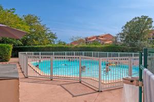 a swimming pool with two dogs in it at Le Scarlett - Maison à 300m de la plage in Palavas-les-Flots