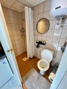 een kleine badkamer met een toilet en een spiegel bij Munga 4 Wiljandi in Viljandi