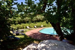 - une piscine avec deux chaises et un arbre dans l'établissement Molino in chianti, à Mercatale Val Di Pesa