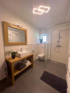 een badkamer met een wastafel en een douche met een spiegel bij G5 - Das Chalet am Waldrand in Sankt Stefan im Rosental