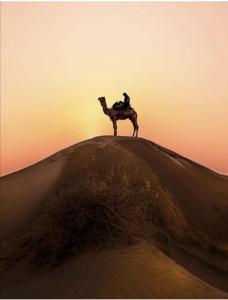 a person riding a camel on top of a hill at The Jaisalmer Heritage Safari Camp in Sām