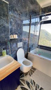 uma casa de banho com um WC, um lavatório e uma banheira em Villa Camgüzeli Kivili Konak’ta! em Fethiye