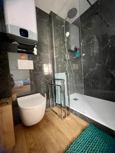 a bathroom with a white toilet and a shower at Joli studio près du front de mer in Cabourg