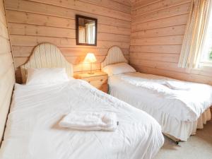 two beds in a room with wooden walls at Curlew Lodge in Dumfries