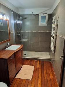 a bathroom with a shower and a sink at Gite Mireille in Carros +27 photos