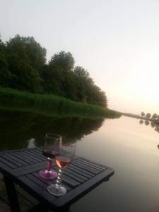 a glass of wine sitting on a table next to a lake at BB de Woonboot in Anna Paulowna
