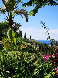 un jardin fleuri et l'océan en arrière-plan dans l'établissement Agroturismo Can Pardal, à Sant Miquel de Balansat