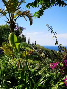um jardim com flores e o oceano no fundo em Agroturismo Can Pardal em Sant Miquel de Balansat