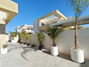 una casa con palmeras delante en Neubauvilla mit Pool Los Montesinos, en Los Montesinos