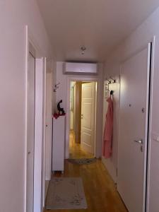 a hallway with a door and a cat sitting on a shelf at Cozy Room + shared kitchen + shared bathroom + free parking in Hvar