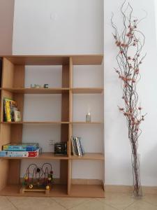 ein Bücherregal mit einer Blumenvase in der Unterkunft Four Reasons Apts Ampelokipi in Thessaloniki