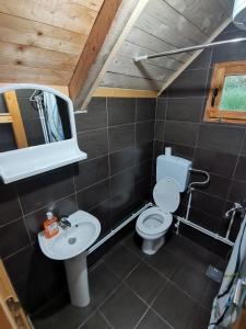 ein Badezimmer mit einem WC, einem Waschbecken und einem Spiegel in der Unterkunft Bungalov Živković in Mojkovac