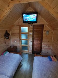 a room with two beds and a tv in a cabin at Bungalov Živković in Mojkovac
