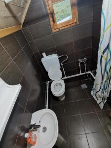 a small bathroom with a toilet and a sink at Bungalov Živković in Mojkovac