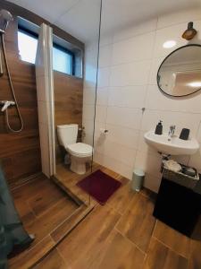 ein Bad mit einem WC und einem Waschbecken in der Unterkunft Astoria Lednice in Lednice