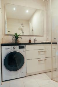 Large Apartments - Great for Groups - with Balcony or Terrace في فيينا: مطبخ مع غسالة ومغسلة