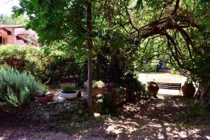 A garden outside Molino in chianti