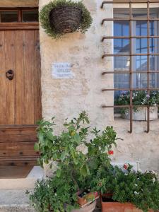 Vonkajšia záhrada v ubytovaní La Vita Dolce, Luberon