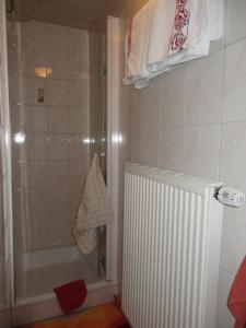 a bathroom with a shower and a radiator in it at Gästehaus Reisacher - Mehrbettzimmer in Peiting